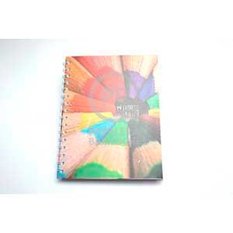 Cuaderno indice Norte 452 espiral 45 hs ray